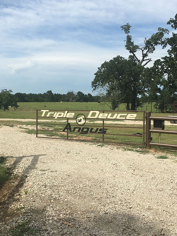 Triple Deuce gate